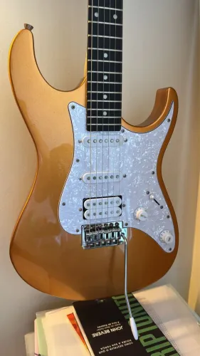 Guitarra elétrica Tagima TW Series TG-520