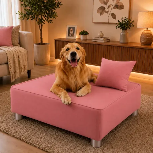 cama para seu pet vc ganha uma almofada de brinde