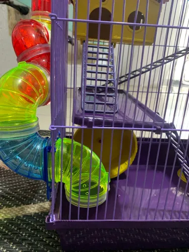 Gaiola para Hamster Nova Completa com Tubos