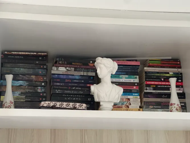 Livros diversos best-sellers e juvenis