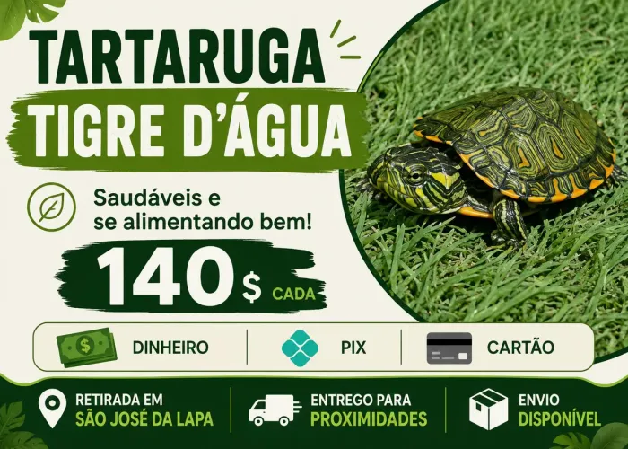 Aquário Marinho novo