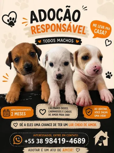 Lindos bebês disponíveis para adoção RESPONSÁVEL!