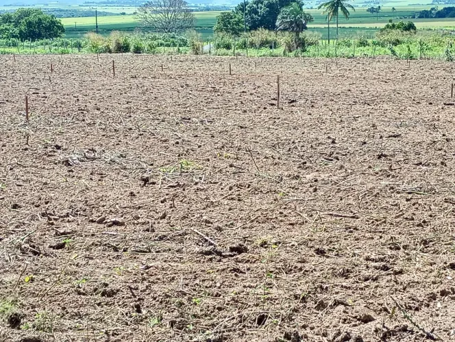 Lotes para sítio ou chácara
