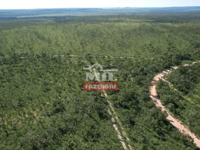 Fazenda 2.624 alqueires (12.700 hectares) Ponte Alta - TO