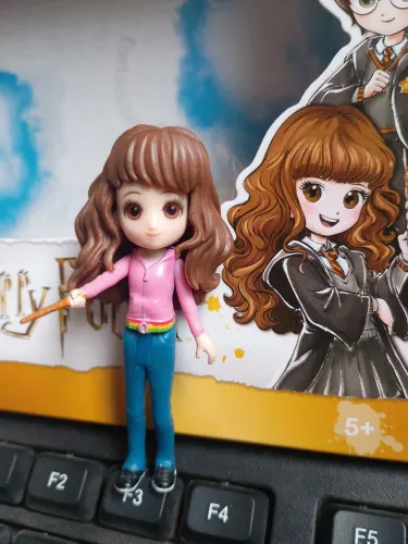 Hermione Harry Potter Wizarding world