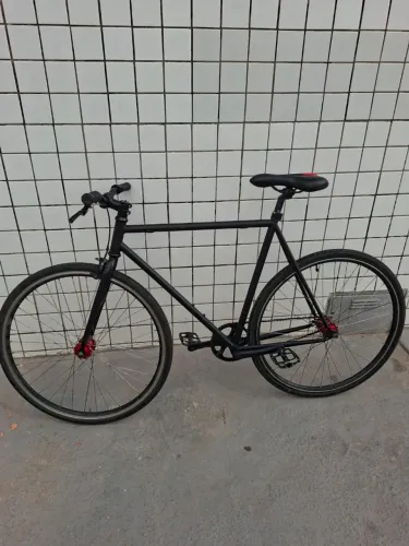 Bike FIXA/ Quadro Raf