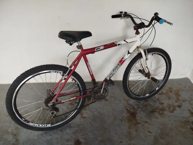 Bicicleta