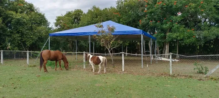 Tenda 10x10 Tubular Piramidal