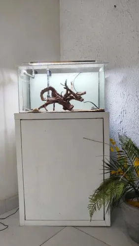 Aquário com acessórios