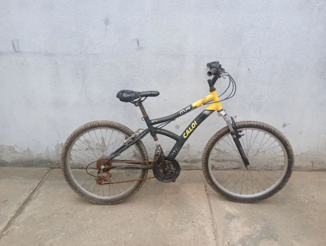 Bicicleta