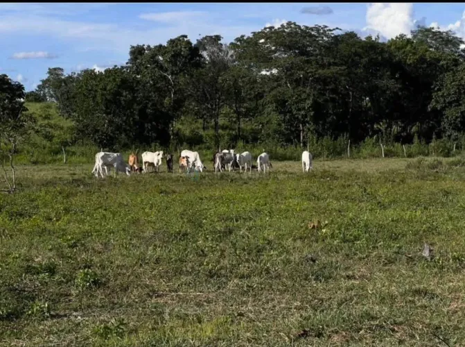 Vendo!!! Uma chácara de 17 hectares na região de Poconé MT