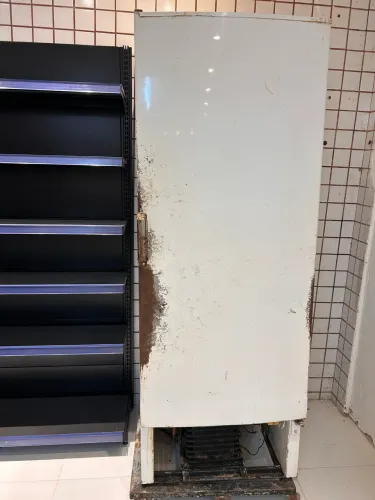 Freezer vertical