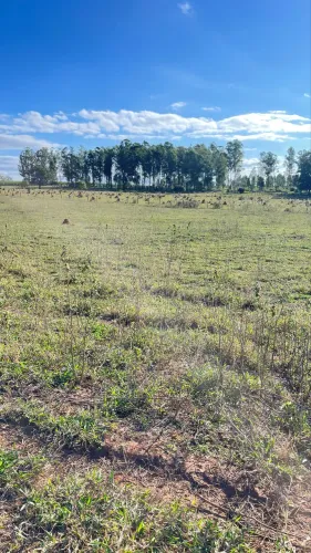LOTE 1.000 m2 CERQUILHO 