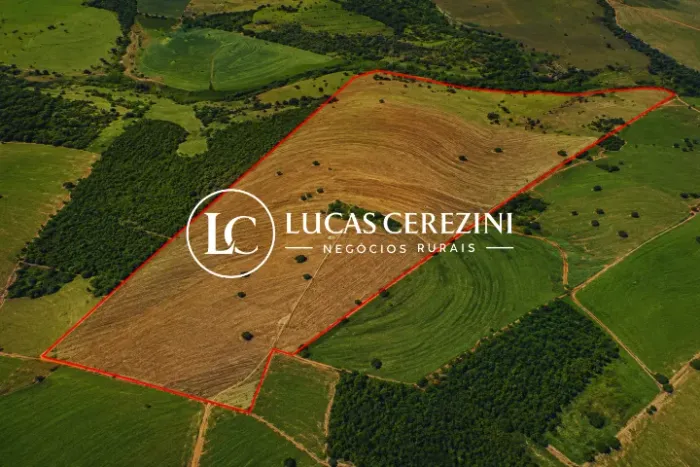 32 Alqueires em cana preço bom para investimento