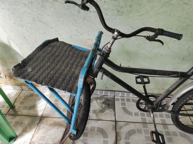 Bicicleta cargueira