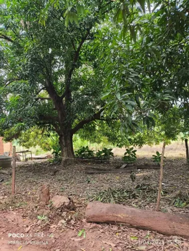 Vende-se Terreno - Cinturão Verde