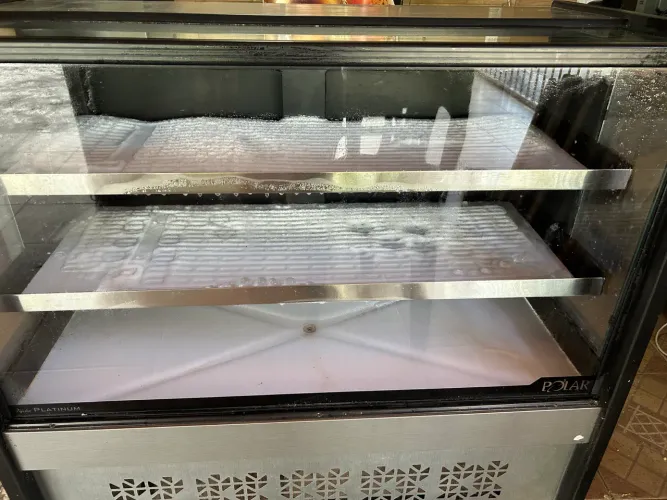 Expositor refrigerado