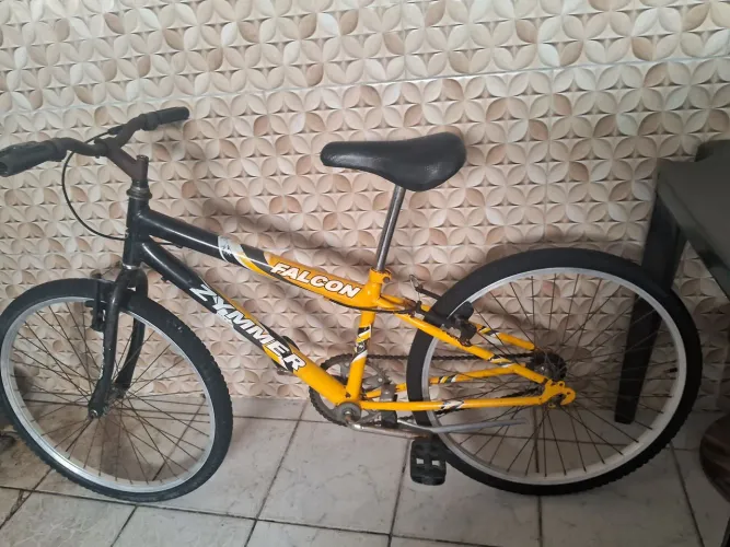 Bicicleta Big aro24 