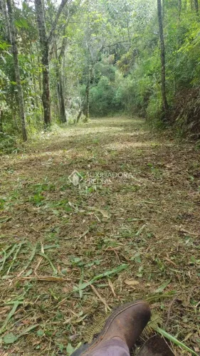 Auxiliadora Predial vende sitio localizado na Estrada Geral Canto Doerner, São Bonifácio/S