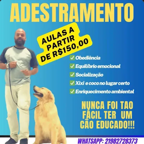 Adestramento de cães 