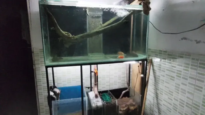 Aquário + Sump + Base + Aquário p/ alimento vivo ou hospital à venda