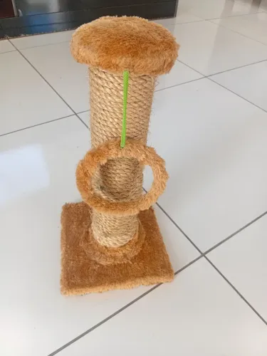 Arranhador para gastos