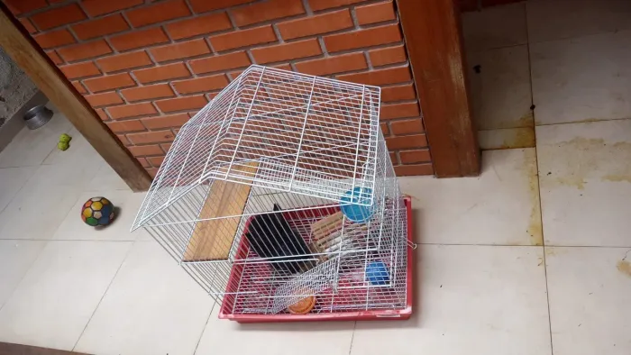 Gaiola para Coelhos, Ramister, Papagaio ou Calopisita