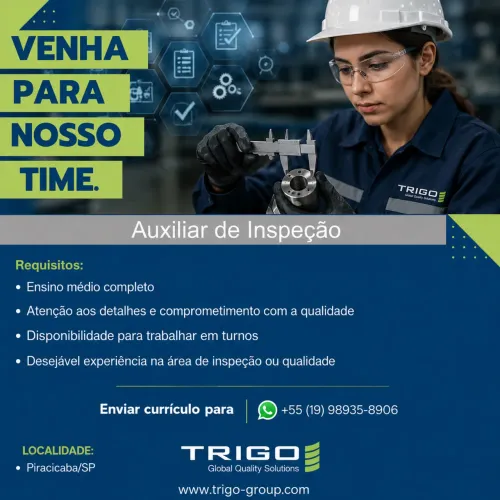 Auxiliar de inspeção 