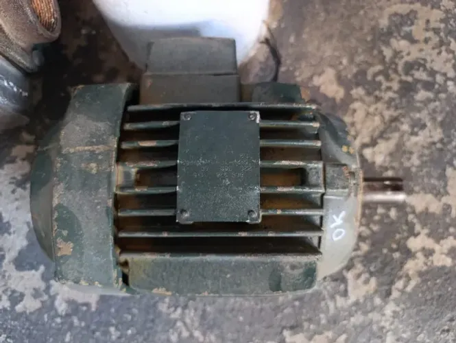 Motor WEG