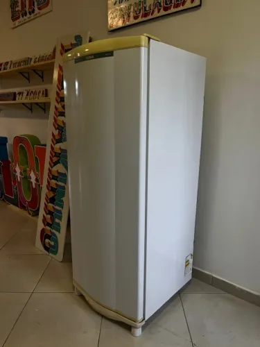 Geladeira Degelo Seco 263 litros Consul