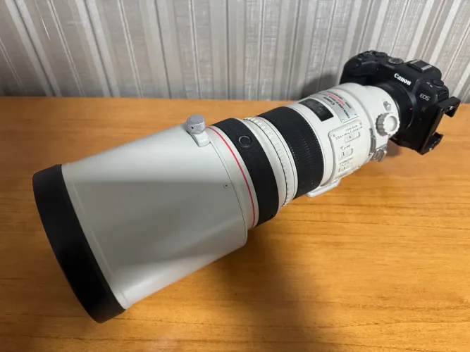 Canon EF 300mm 2.8 L IS