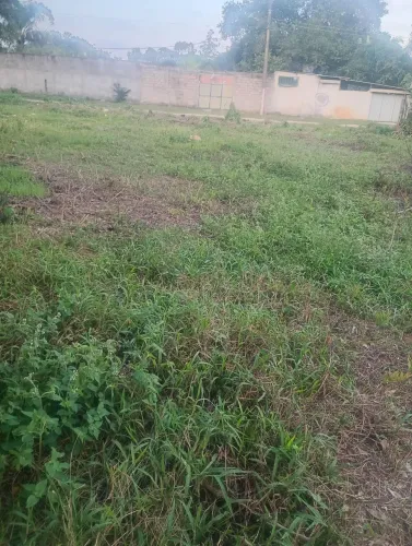 Terreno