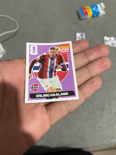 FIGURINHA LEGEND