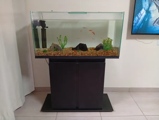Móvel aquário 200 litros