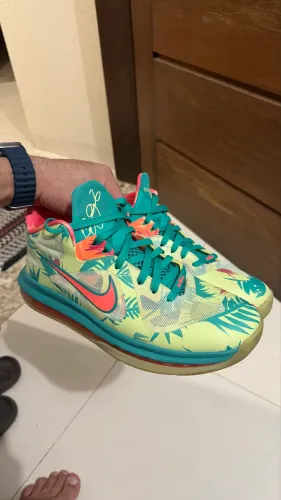 LeBron 9 Low LeBronald Palmer N°44