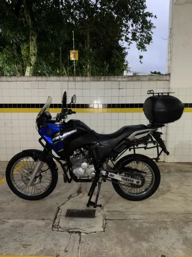Yamaha XTZ 250 Tenere/tenere Blueflex 2019