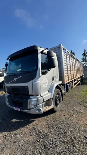 VOLVO VM 330 TRUCK BOIADEIRO