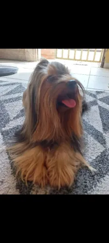 Théo procura namorada!