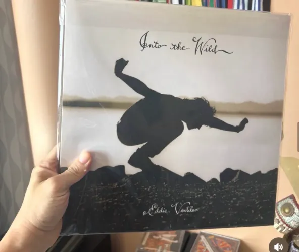 Lp Eddie Vedder ? into the wild ? importado  