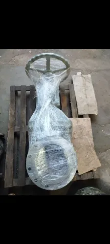 Válvula Gaveta 10" 150#