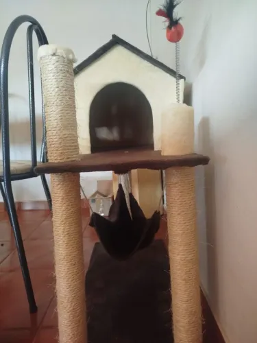 Venda de casinha para gato 