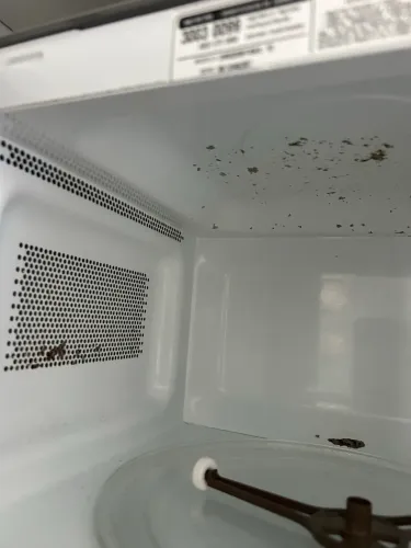 Microondas 