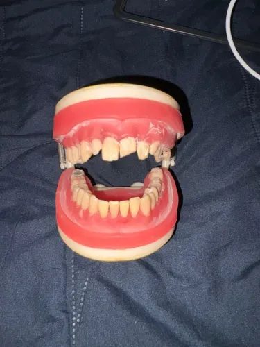 Manequim odontológico 