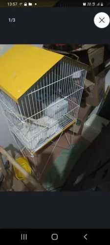 Viveiro novo pra vender rápido