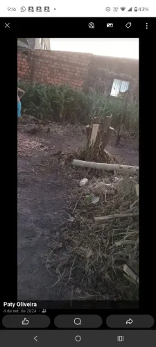 Vende-se um terreno localizado em Ananindeua aceito proposta valor 30.000 quem é