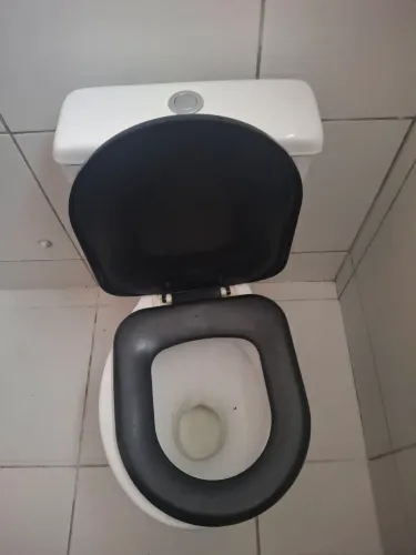 Vazo Sanitário