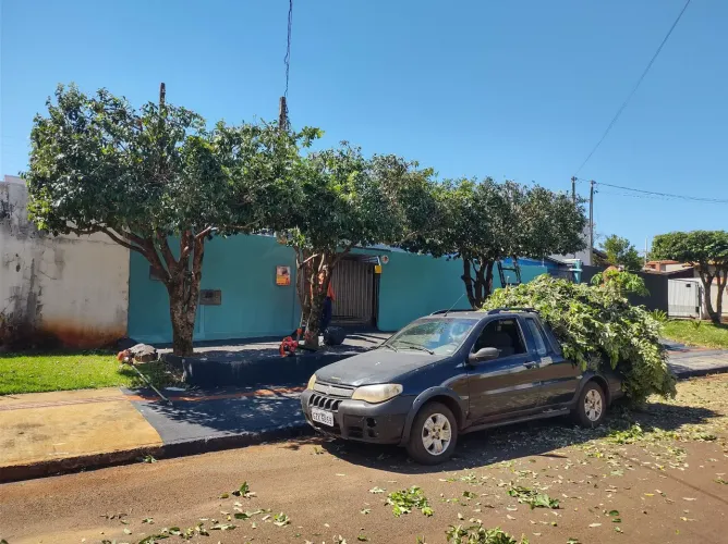 Poda de Árvores, corte de Grama Limpeza de Terreno 