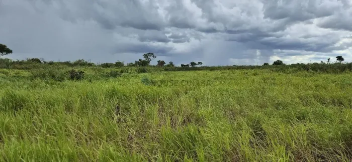 Área de terra de 3.456,03 hectares no pantanal Sul Mato-grossense.