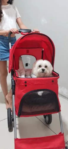 CARRINHO PET