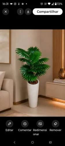 Lindo vaso grande com palmeira leque permanente